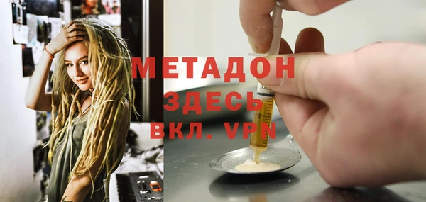 прущие грибы Новодвинск