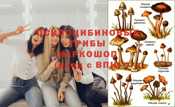 МДМА Богданович