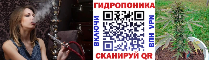 Каннабис MAZAR  где купить   Дедовск 